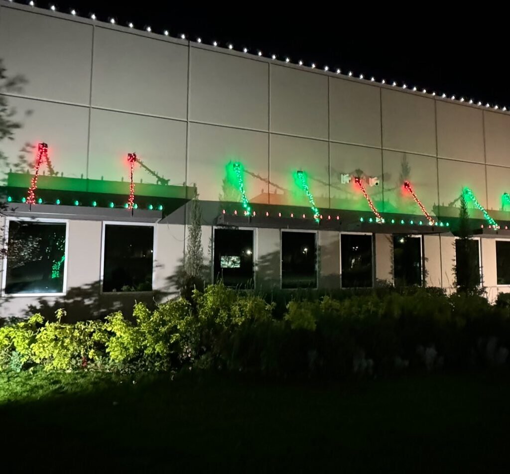 commercial-christmas-light-installation-near-me-3